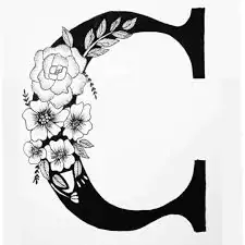 stylish c letter whatsapp dp stylish c letter whatsapp dp